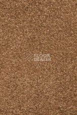 Ковролин AW Invictus Romelus 82 фото 1 | FLOORDEALER